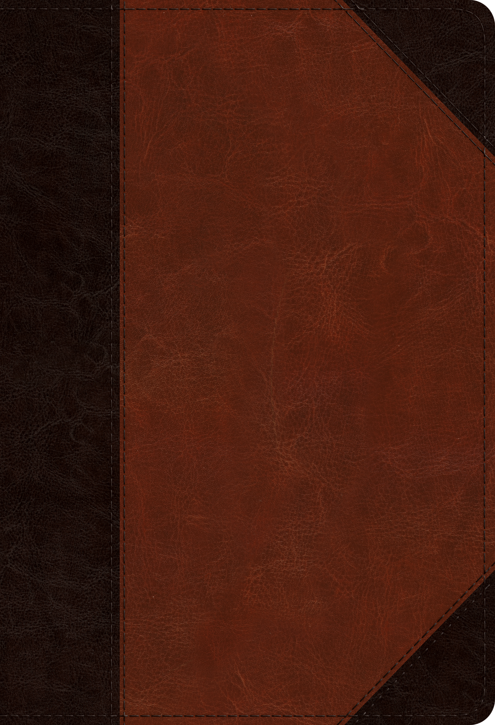 ESV Student Study Bible