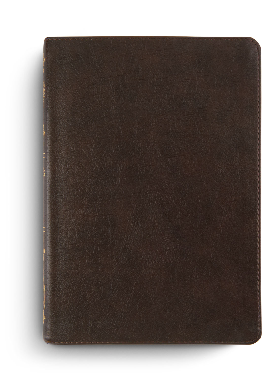 ESV Women's Study Bible