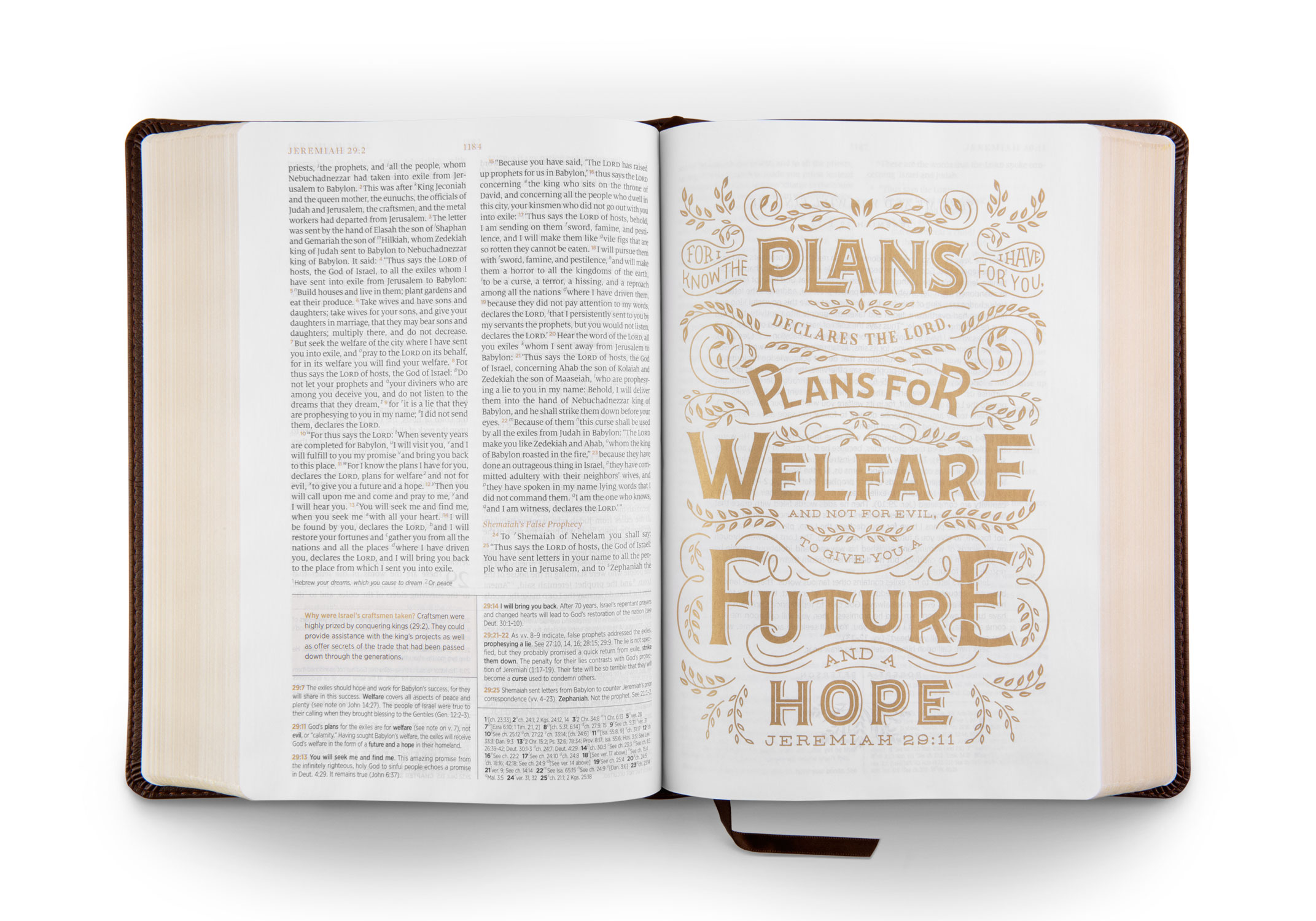 ESV Women's Study Bible