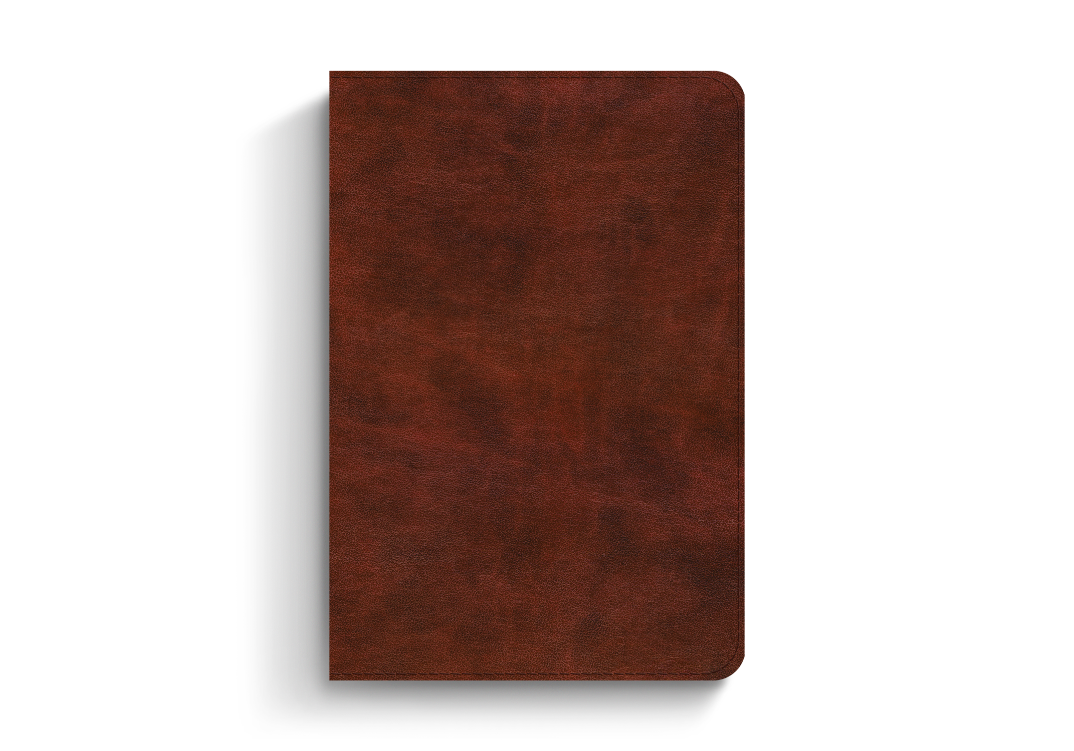 ESV Bible Promises