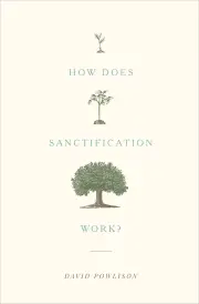 How Does Sanctification Work?