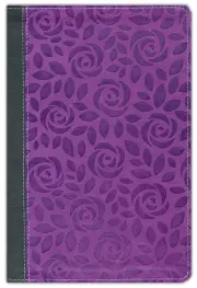 NIV Thinline Bible, Giant Print, Red Letter, Comfort Print