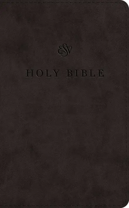 ESV Premium Church Bible, Large Print (TruTone, Black)