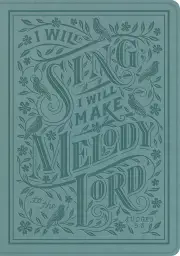 ESV Single Column Journaling Bible, Large Print