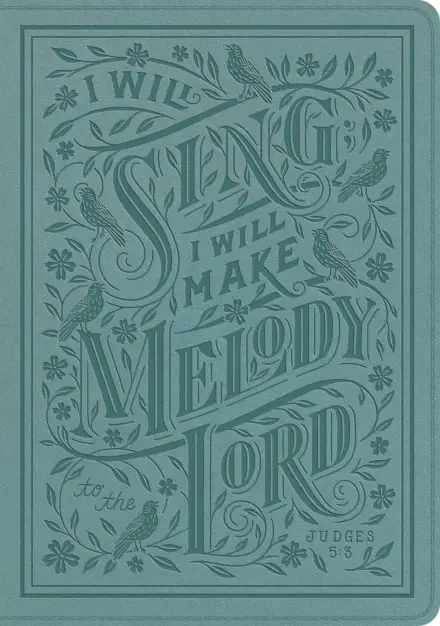 ESV Single Column Journaling Bible, Large Print