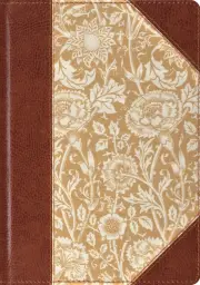 ESV Single Column Journaling Bible, Large Print