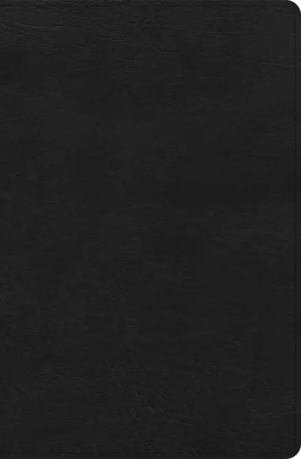 CSB Connecting Scripture New Testament, Black Genuine Leather