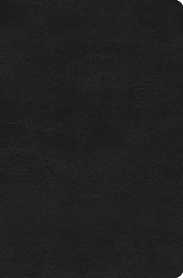 ESV Value Compact Bible, TruTone, Black