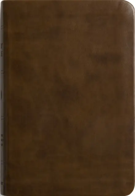 ESV Value Compact Bible, TruTone, Brown