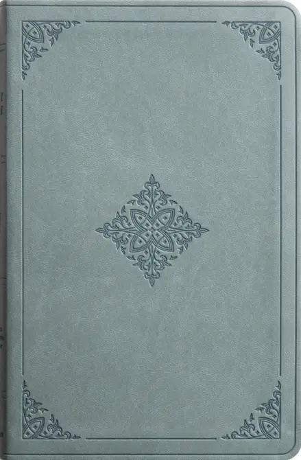 ESV Value Thinline Bible, TruTone, Paris Sky, Fleurdelis Design