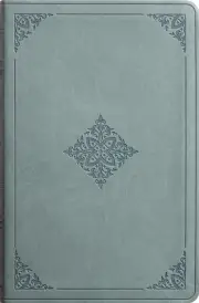 ESV Value Thinline Bible, TruTone, Paris Sky, Fleurdelis Design
