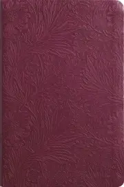 ESV Value Thinline Bible, TruTone, Raspberry, Floral Design