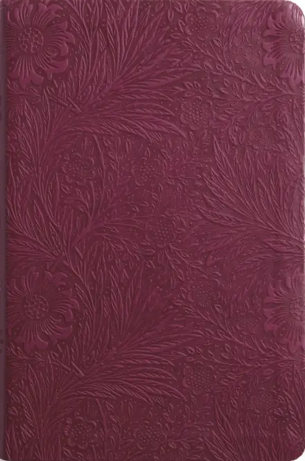 ESV Value Thinline Bible, TruTone, Raspberry, Floral Design