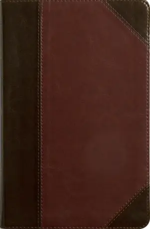 ESV Thinline Bible, Red Letter, TruTone, Brown/Cordovan, Portfolio Design