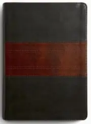 ESV Study Bible, Large Print
