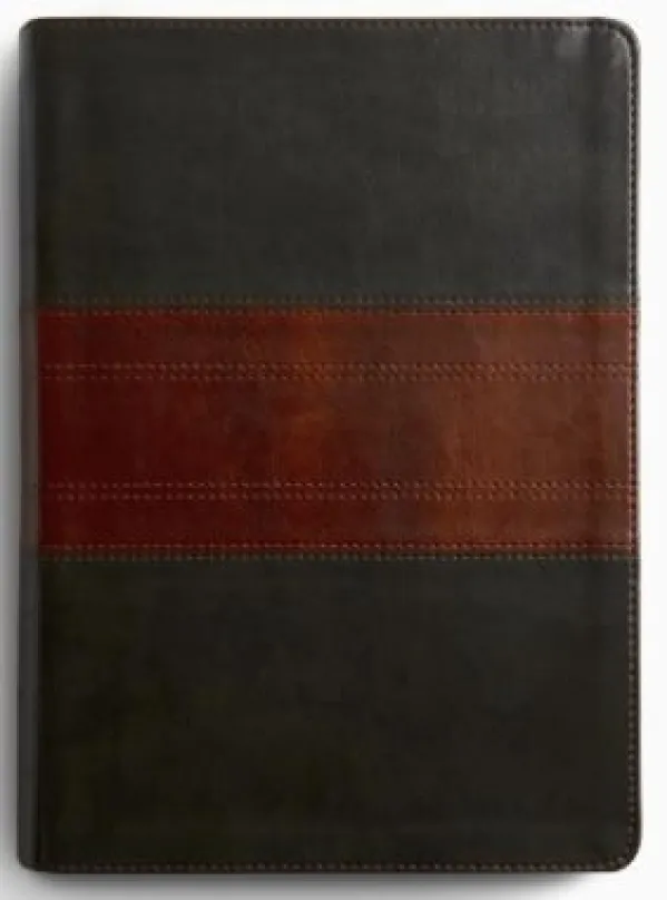 ESV Study Bible, Large Print