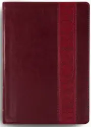 ESV Study Bible, Large Print