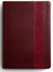 ESV Study Bible, Large Print
