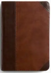 ESV Large Print Compact Bible, Red Letter