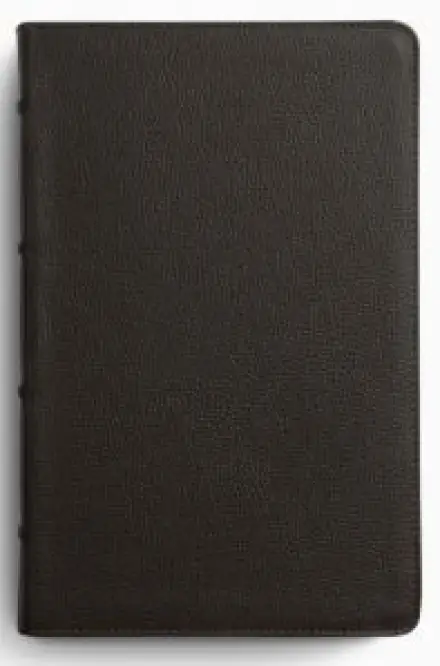 ESV Large Print Personal Size Bible, Red Letter