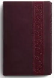 ESV Large Print Personal Size Bible, Red Letter