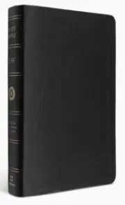 ESV Large Print Personal Size Bible, Red Letter