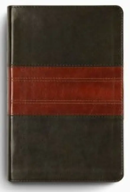 ESV Large Print Personal Size Bible, Red Letter