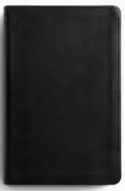 ESV Large Print Value Thinline Bible
