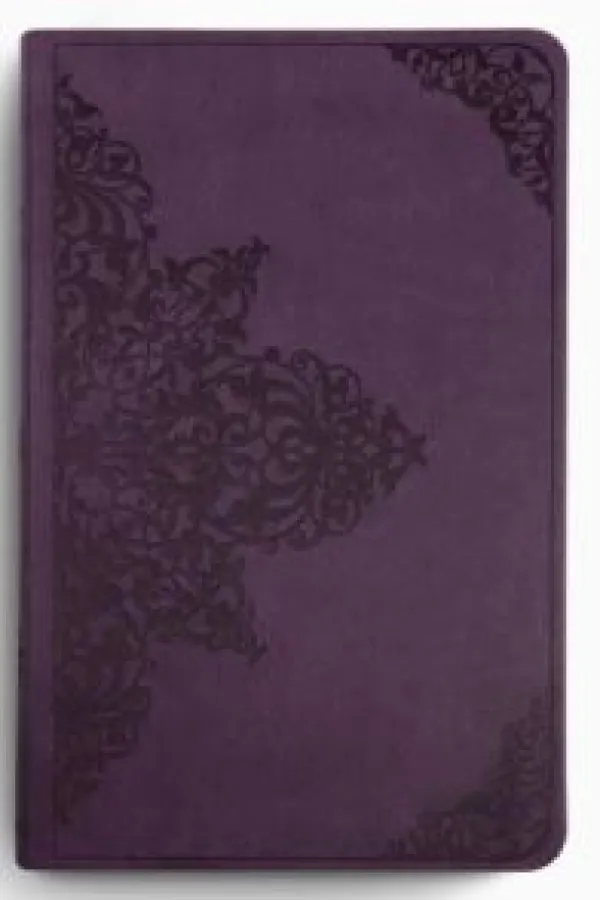 ESV Large Print Value Thinline Bible