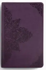 ESV Large Print Value Thinline Bible