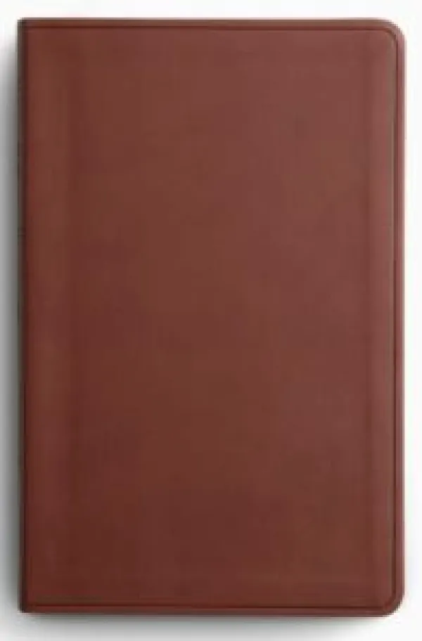 ESV Large Print Value Thinline Bible