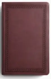 ESV Large Print Value Thinline Bible