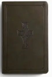 ESV Large Print Value Thinline Bible