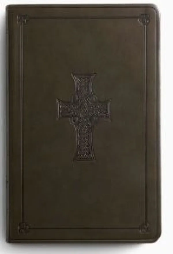 ESV Large Print Value Thinline Bible