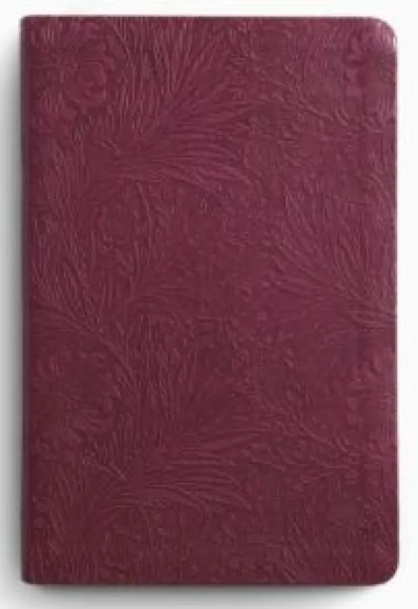 ESV Large Print Value Thinline Bible