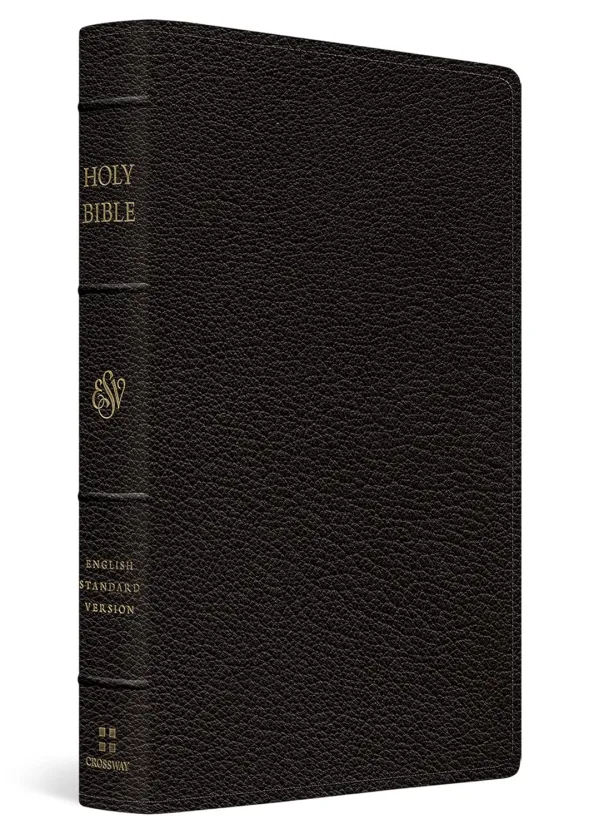 ESV Preaching Bible, Verse by Verse Edition (Goatskin, Black)
