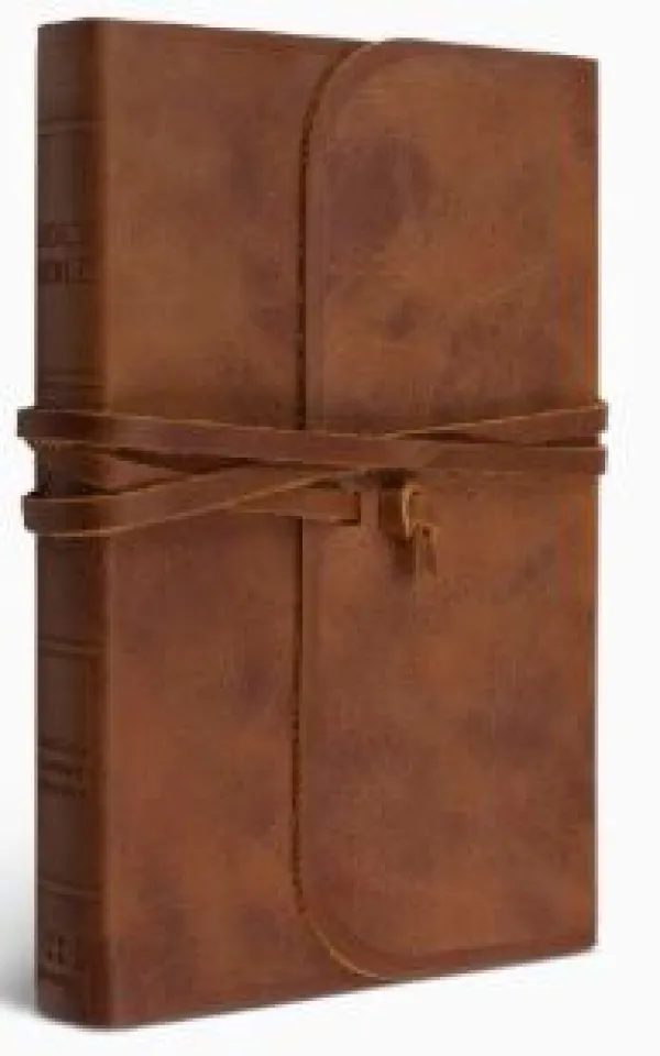 ESV Thinline Bible
