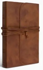 ESV Thinline Bible