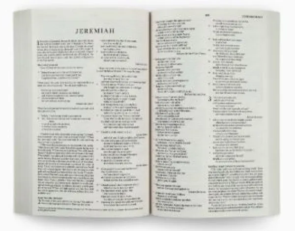 ESV Outreach Bible