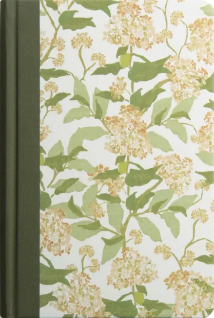 ESV Everyday Gospel Bible, Artist Series