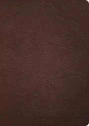 CSB Verse-by-Verse Reference Bible, Holman Handcrafted Collection, Brown Premium Goatskin