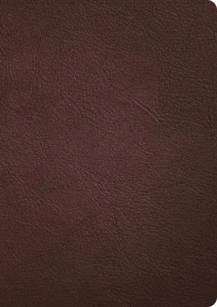 CSB Verse-by-Verse Reference Bible, Holman Handcrafted Collection, Brown Premium Goatskin