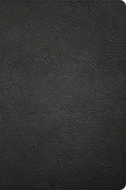 CSB Large Print Thinline Bible, Holman Handcrafted Collection, Black Premium Goatskin