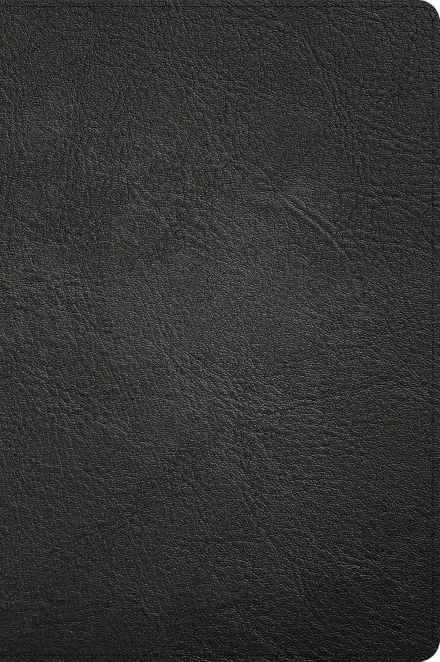 CSB Large Print Thinline Bible, Holman Handcrafted Collection, Black Premium Goatskin