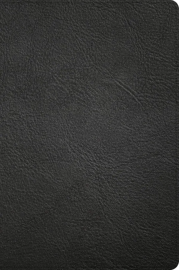 CSB Large Print Thinline Bible, Holman Handcrafted Collection, Black Premium Goatskin