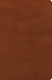 CSB Thinline Bible, Burnt Sienna LeatherTouch
