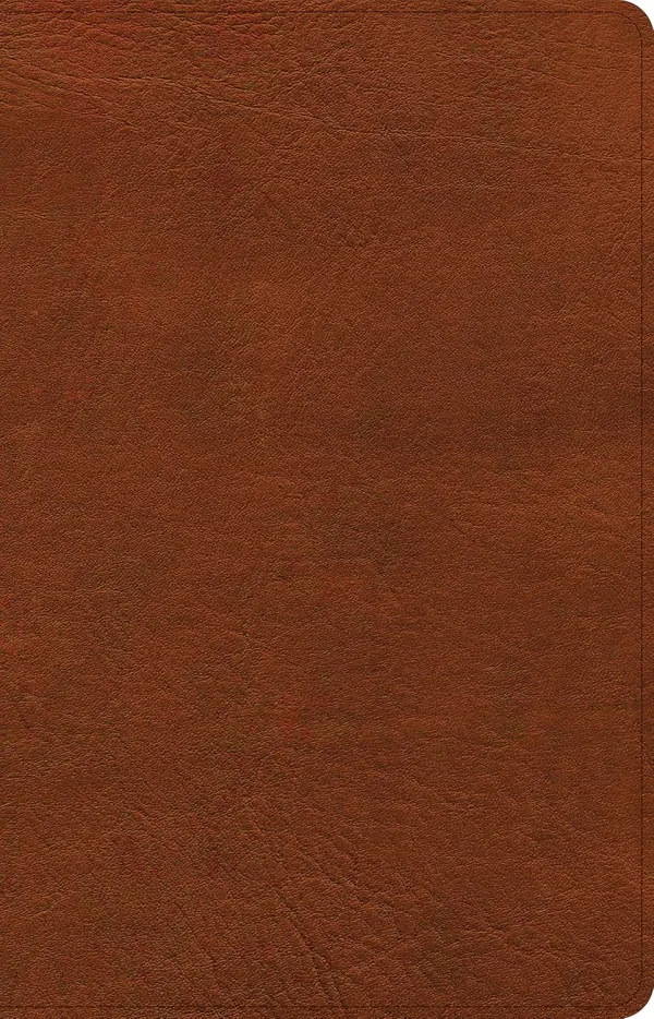 CSB Thinline Bible, Burnt Sienna LeatherTouch