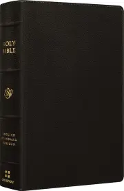 ESV Large Print Personal Size Bible, Red Letter