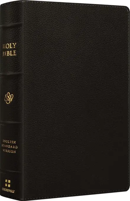 ESV Large Print Personal Size Bible, Red Letter