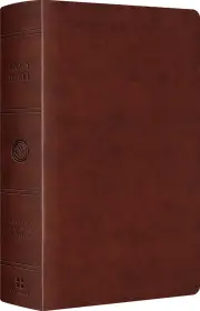 ESV Large Print Personal Size Bible
